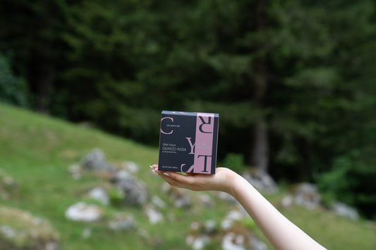 a person holding a book in their hand