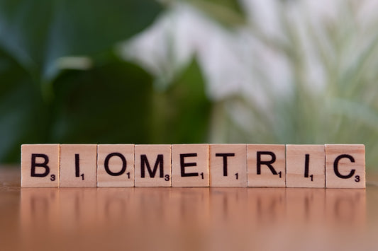 A wooden block that says biometric on it